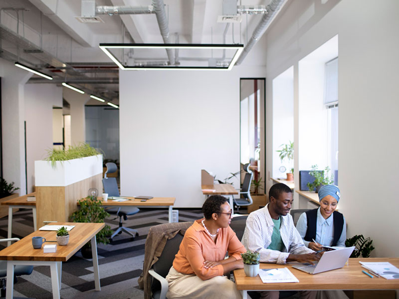 Commercial Organising - Ducks in a Row