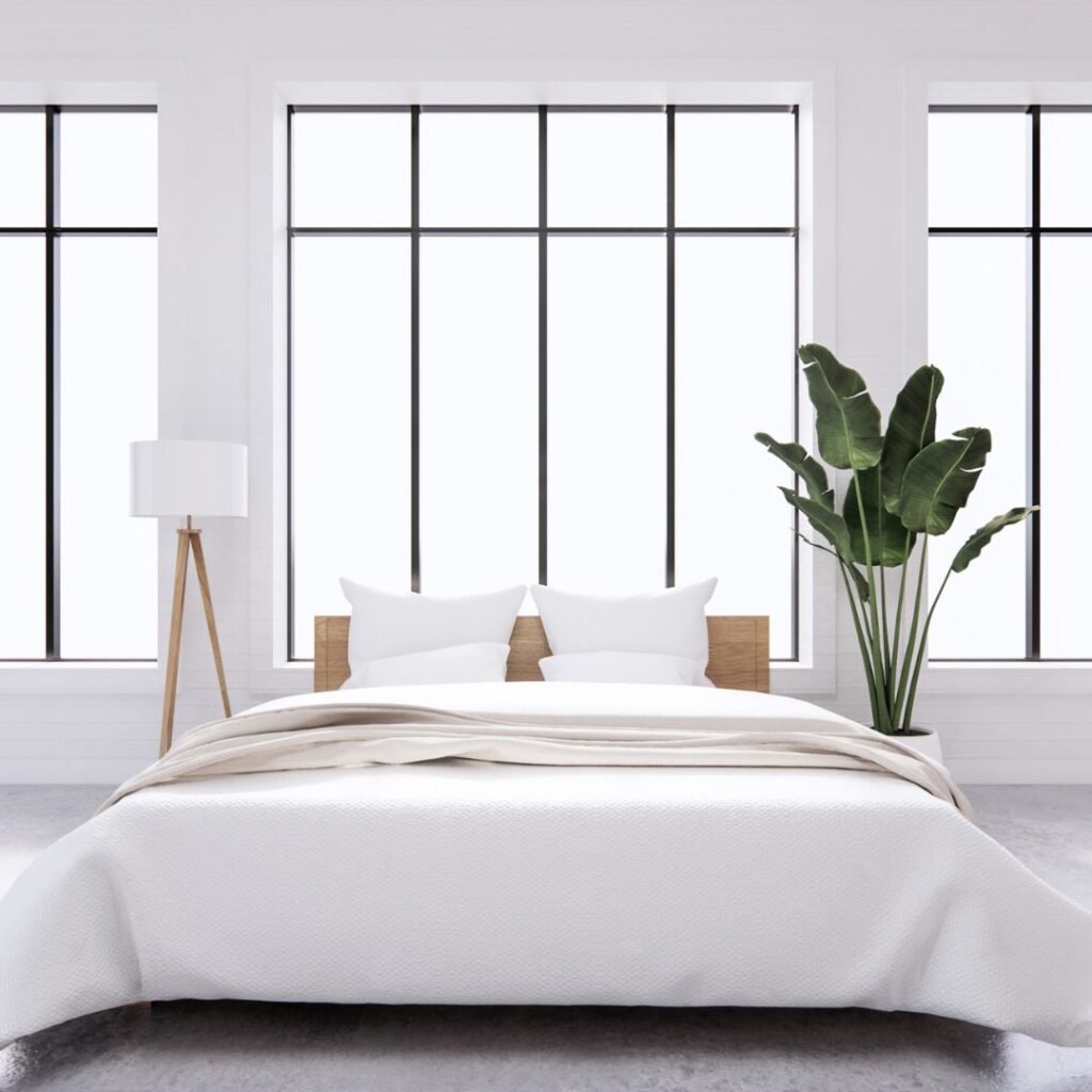 Minimalist